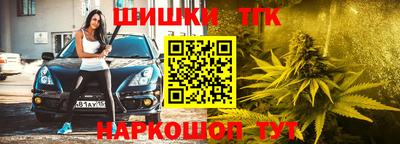 тгк Тула