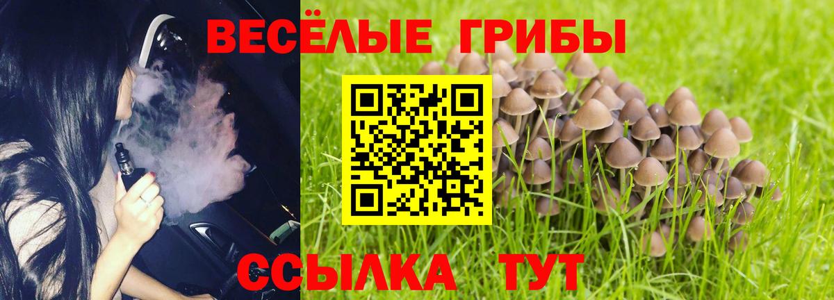 Минусинск  где найти   Вход с VPN  Псилоцибиновые грибы мухоморы 